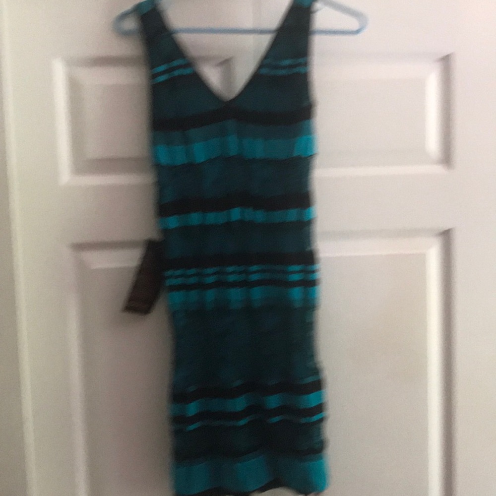 Bebe fitted dress.